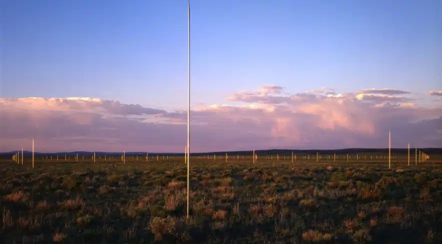 Socially Conscious Art: Making Statements about the Environment