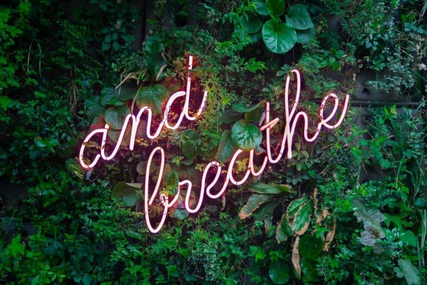 How to Juggle a Full-Time Job and an Art Career