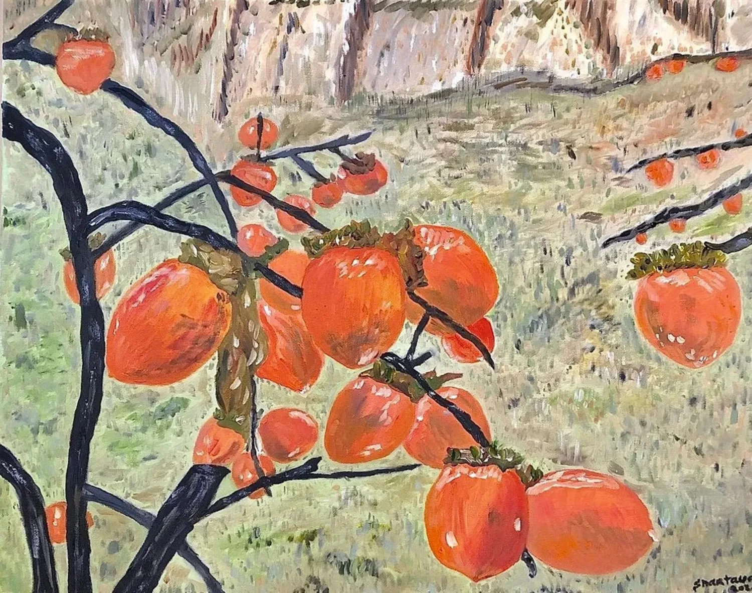 Persimmon Tree, 2020