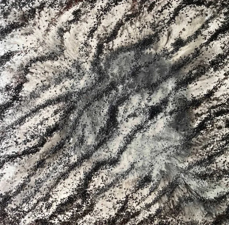 Linear, 2019