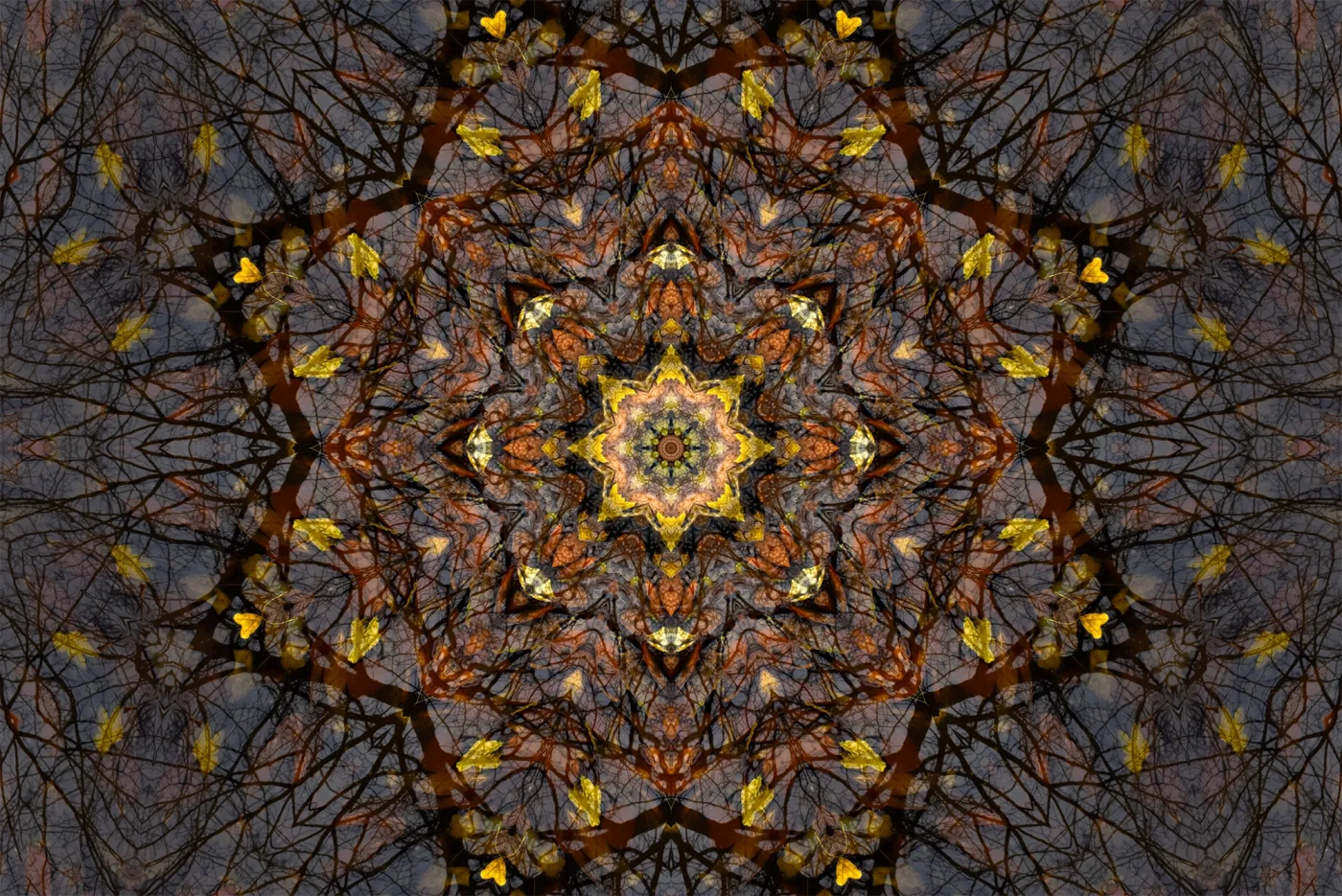 Autumn Dance, 2018