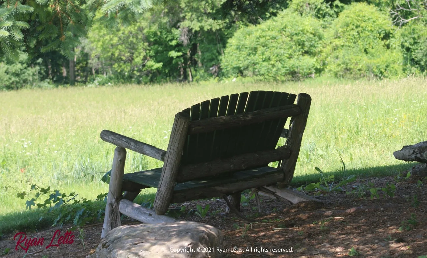 Relax In The Shade, 2021