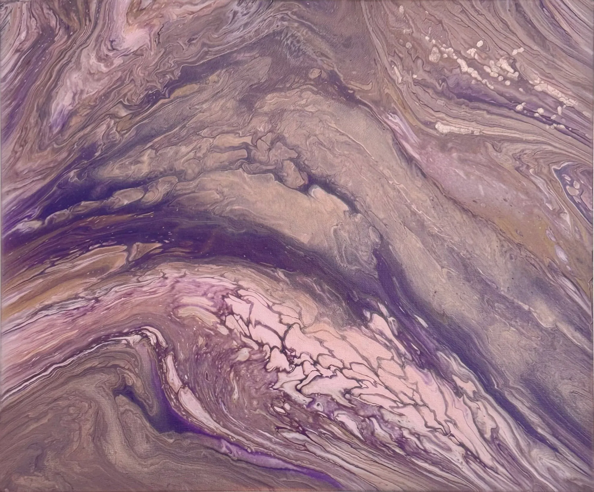 Purple Nova Dragon, 2025