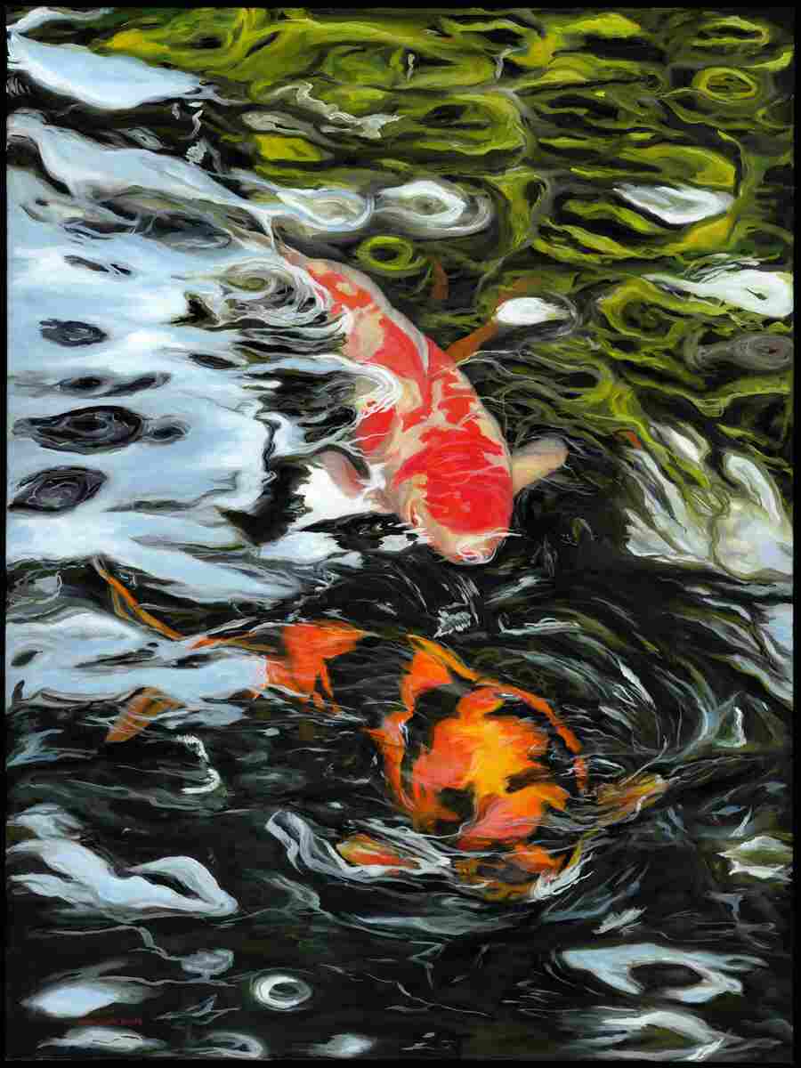 Playing Koi
