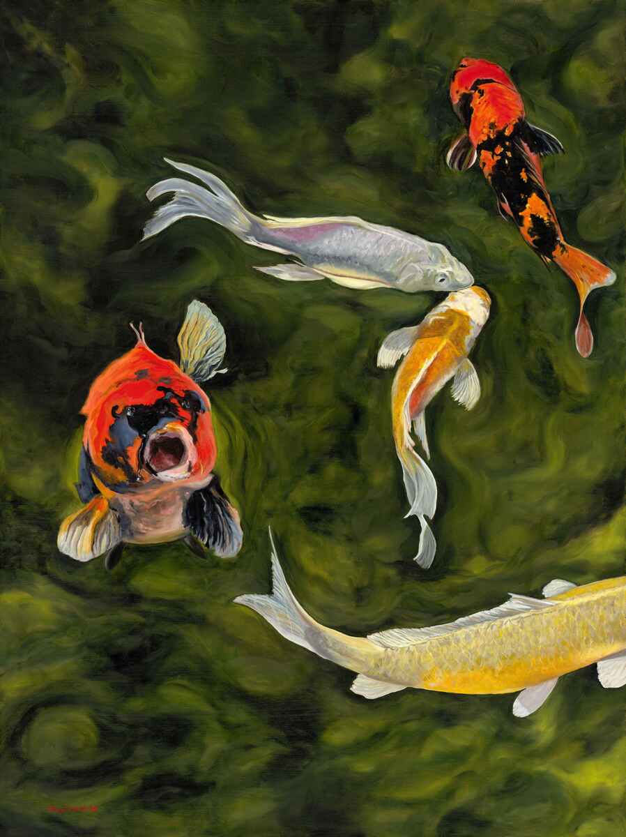 Kissing Koi