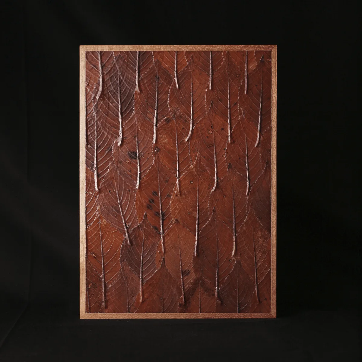 Project: Bio Vide, Board Of Autumn 07, 2023