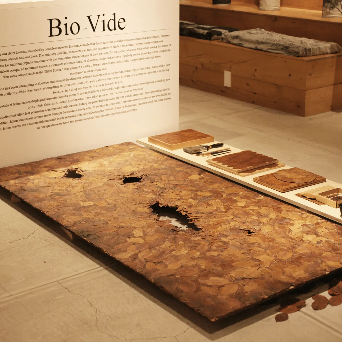 Project: Bio-Vide/ Board of Autumn, 2014