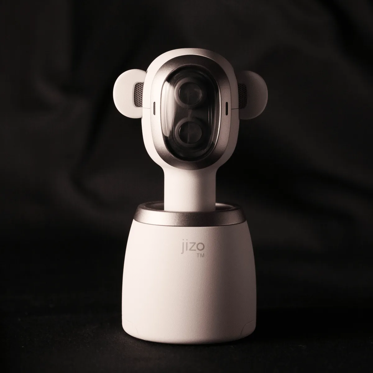 Project: Humanoid Camera, 2022