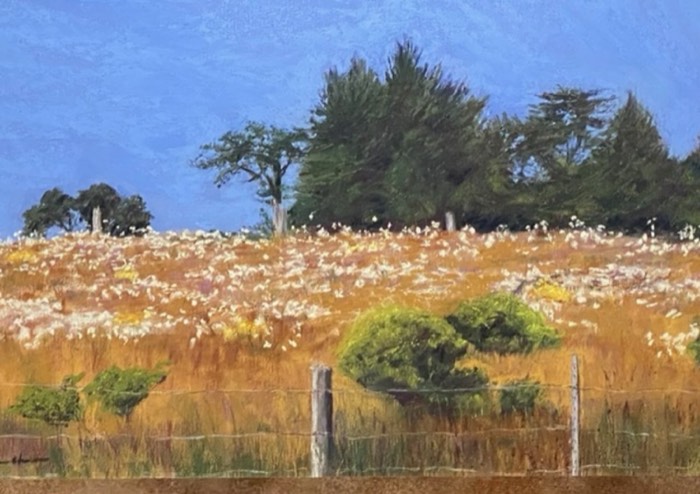 Sunny Meadow