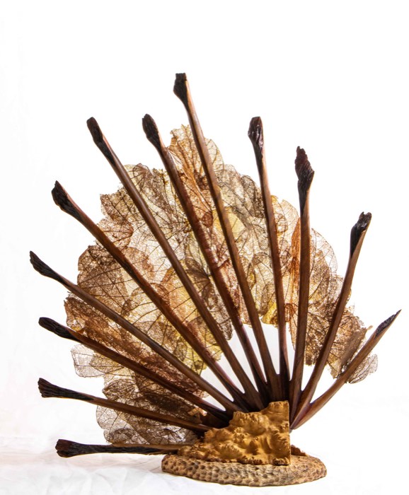 Gorgonian Coral