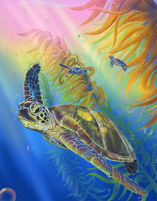 Green Sea Turtles
