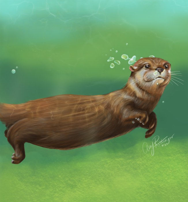 River Otter