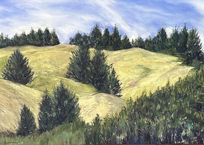 Lone Ranch Hills