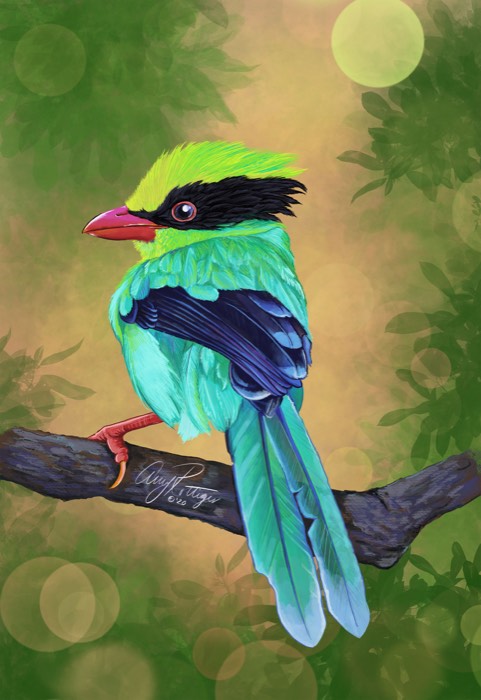 Bird
