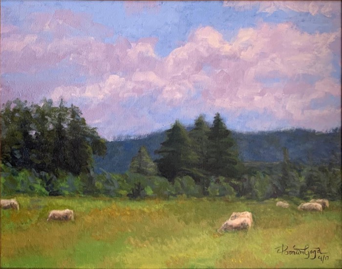 Sheep’s In The Farm