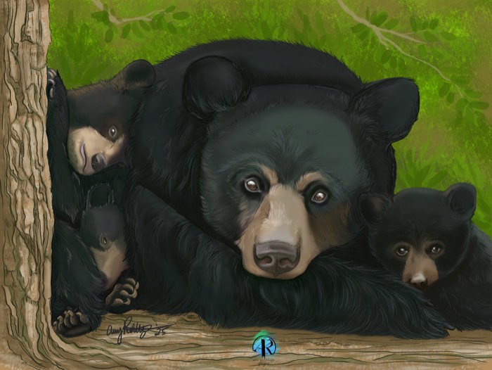 Black Bear Family