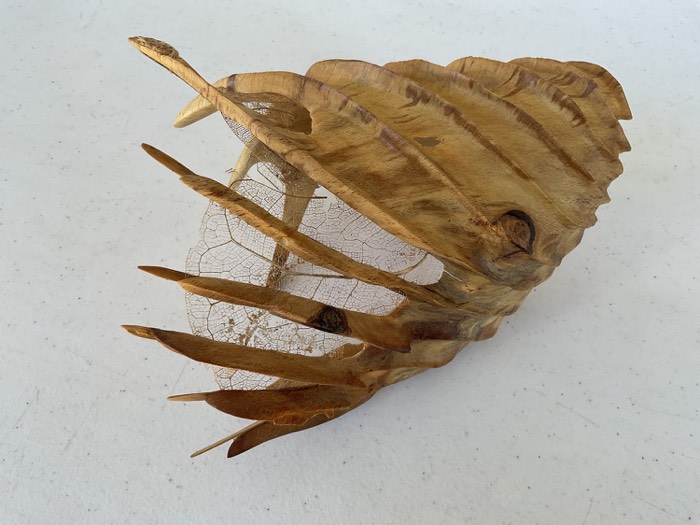 Carapace