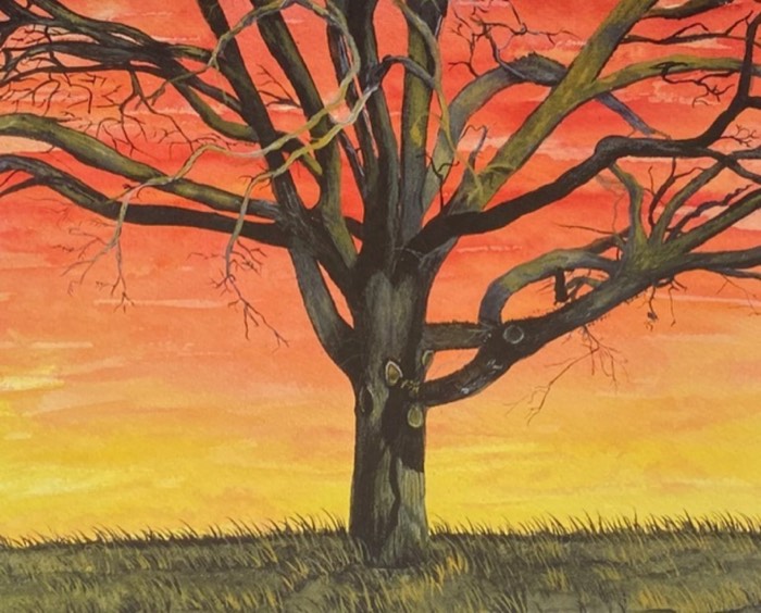 Tree of Life Sunrise