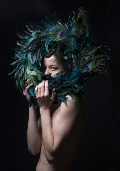 Peacock Feathers