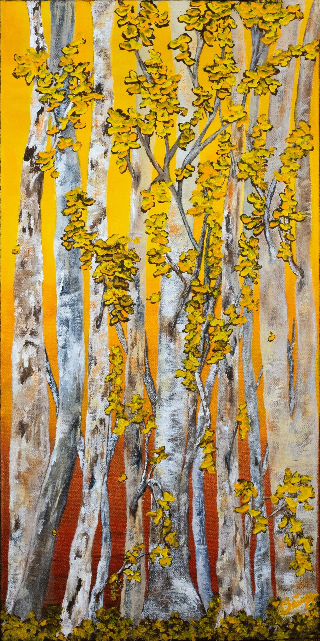 Autumn Foliage, 2024
