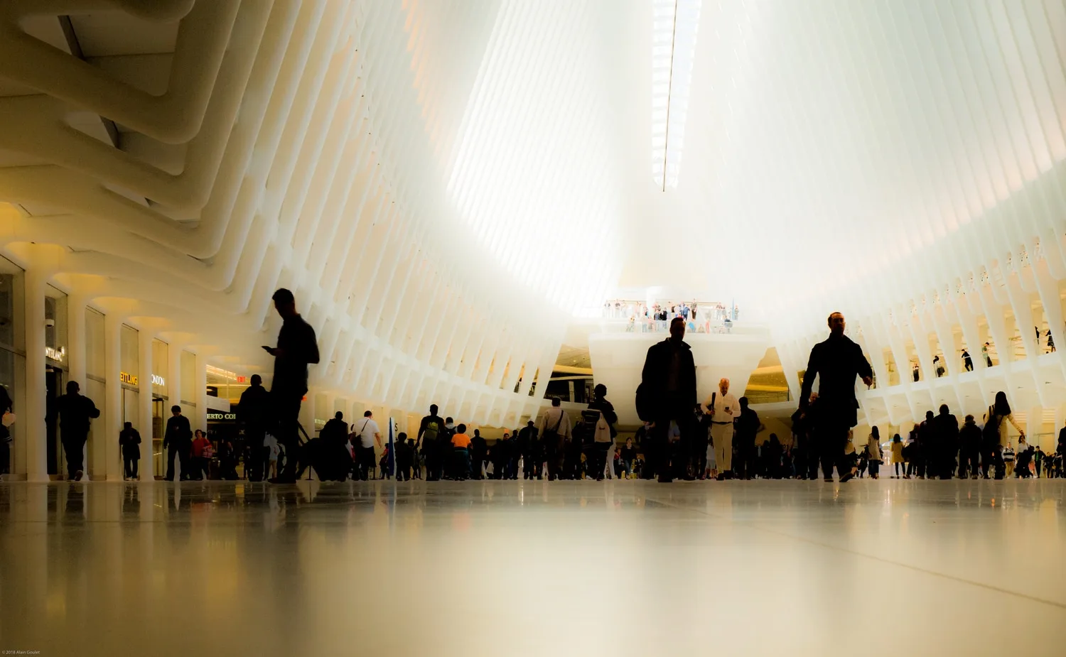 Respect For the Oculus WTC NYC, 2018
