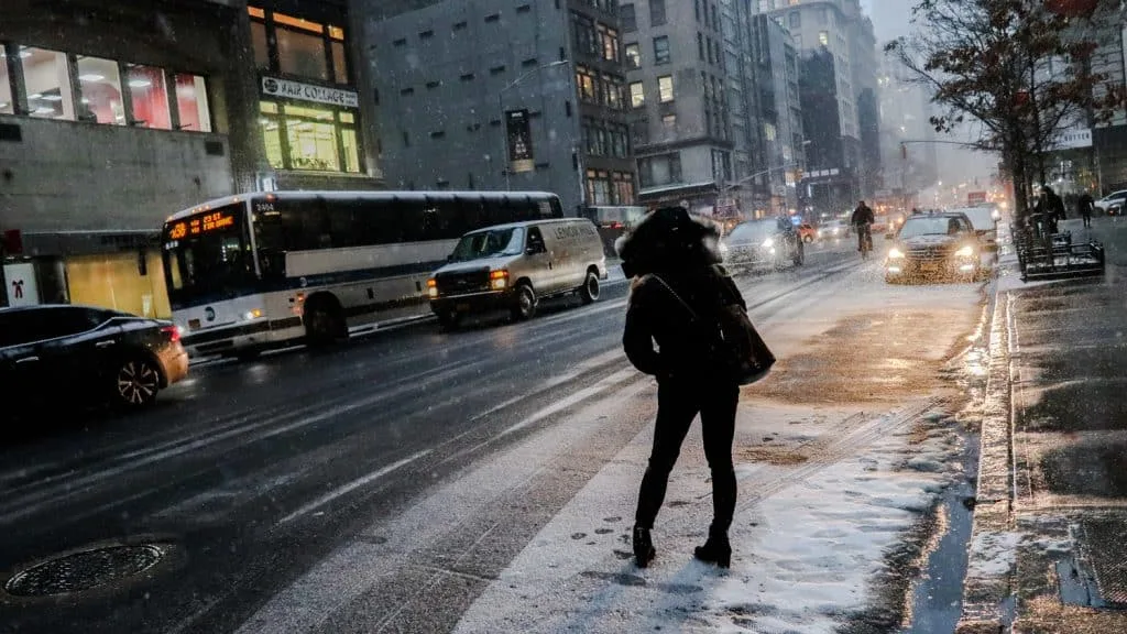 New York Snow, 2017