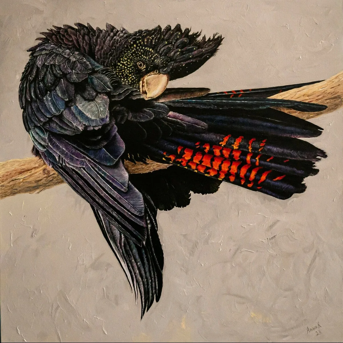 Endangered Frtb Cockatoo, 2023
