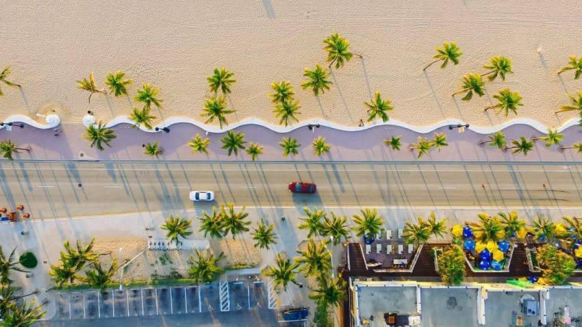 An aerial view of a Miami beach walk lined with palm trees