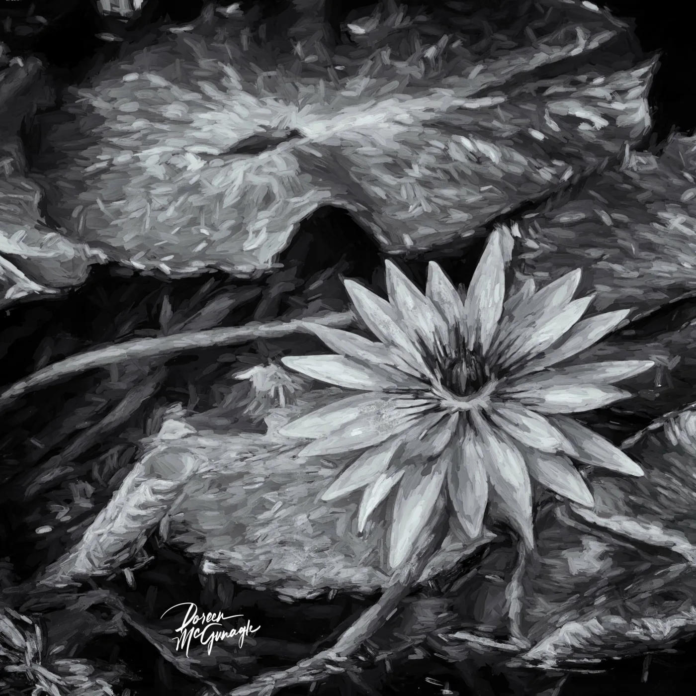 Petals & Shadows, 2024