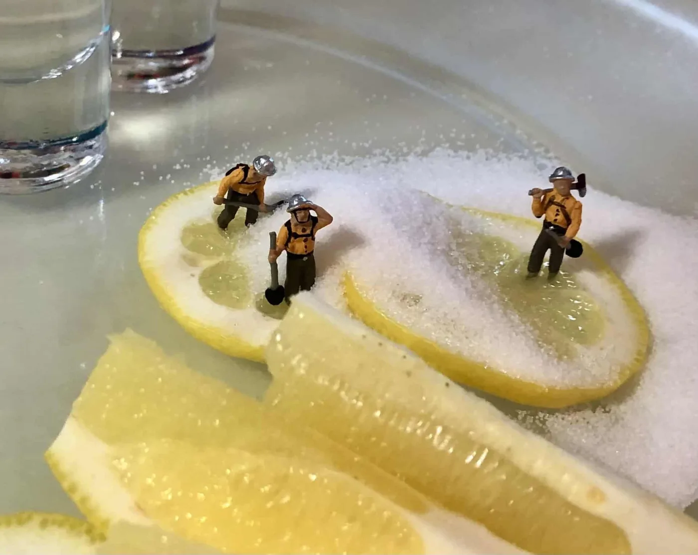 Salt Miners