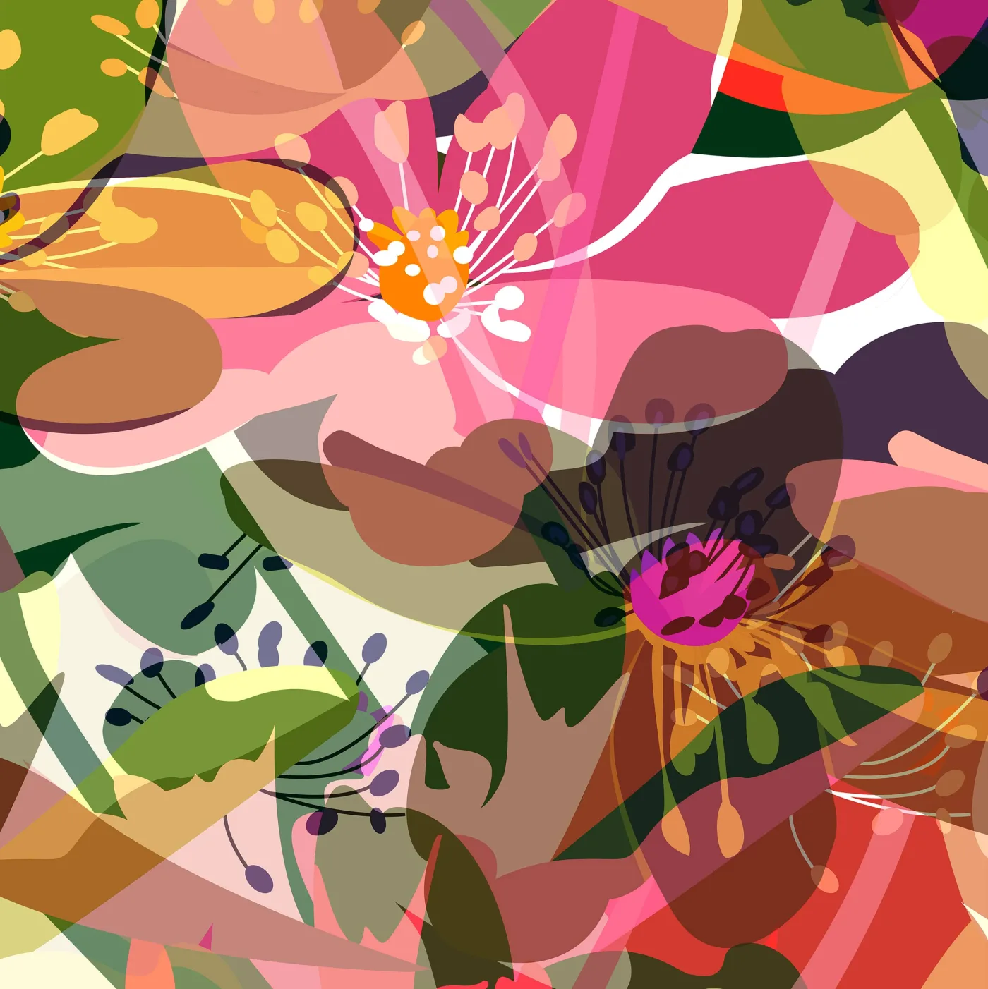 Cherry Blossoms, 2024