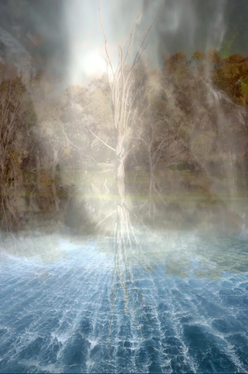 Voice Of Vision, 2025