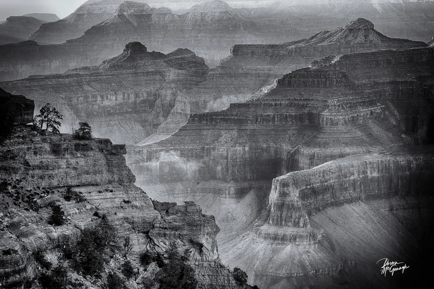 Echoes Beneath The Rim, 2025