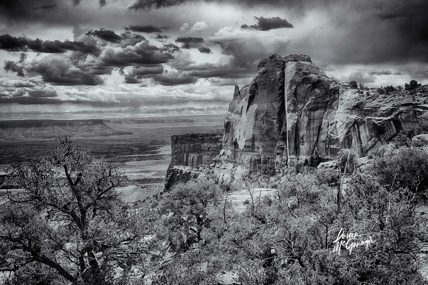 Whispering Cliffs Of Canyonland, 2025