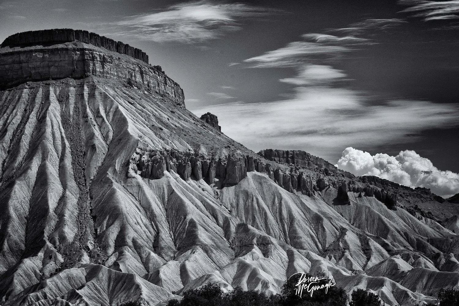 Veins Of The Silent Peak, 2025