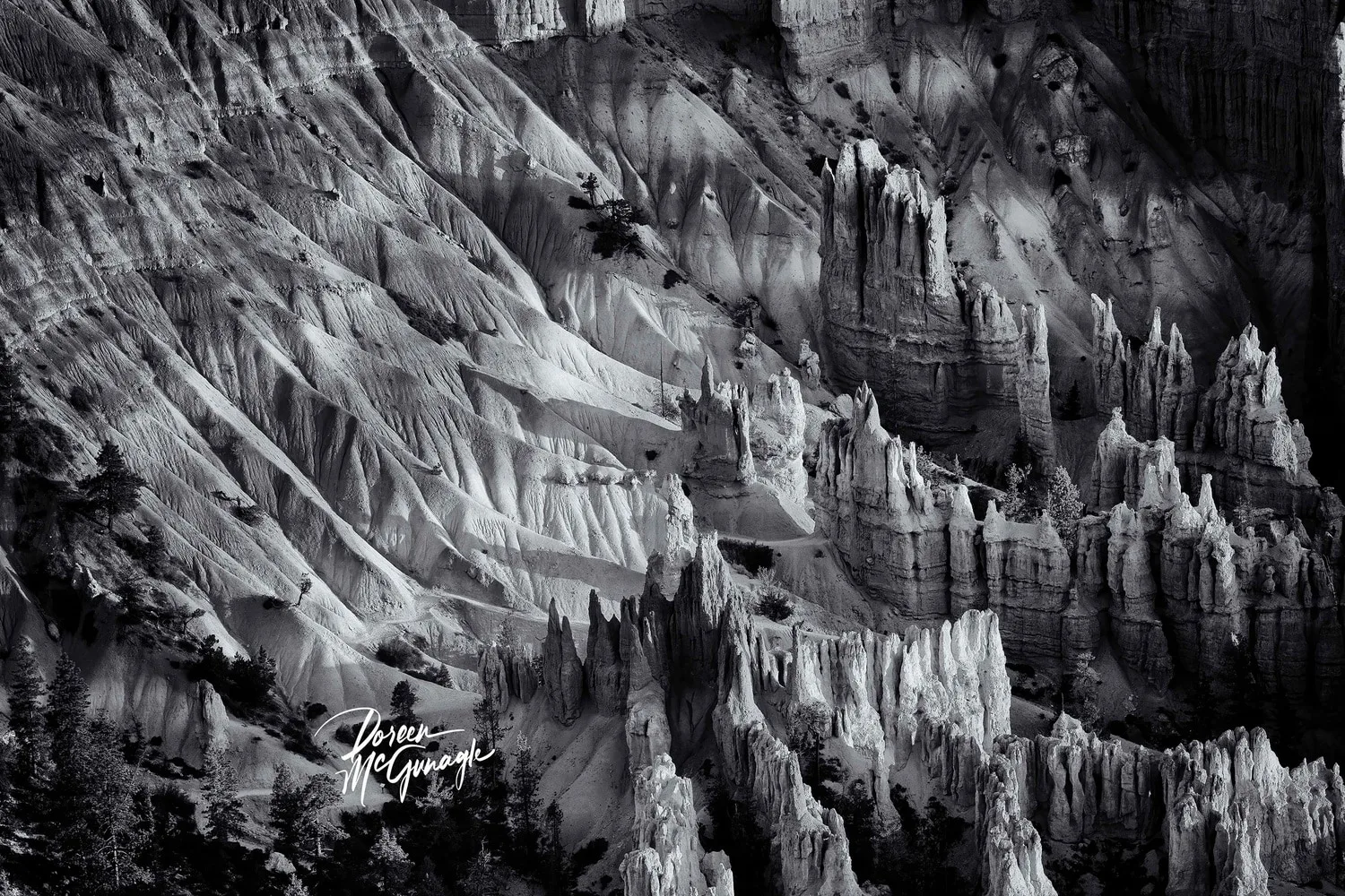 Bryces Sculptered Shadows, 2025