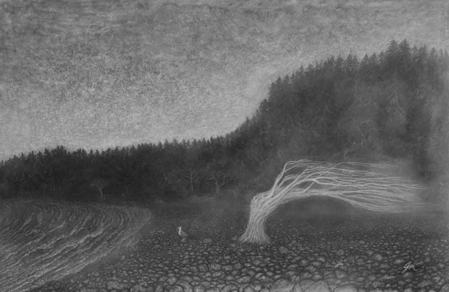 The Seagull’s Tree, 2021