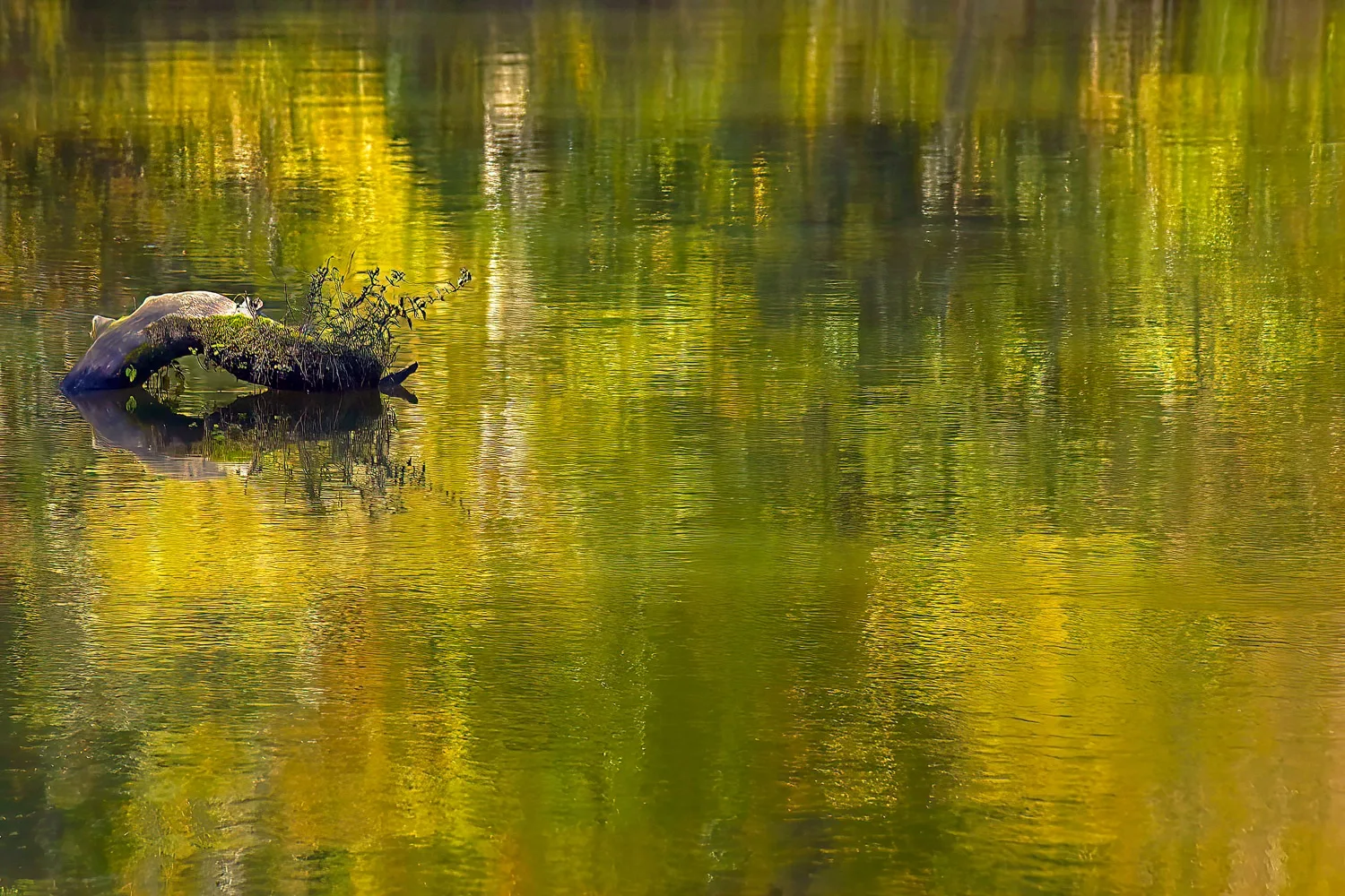 Fall Is In The Air Durant Nature Park Raleigh – North Carolina, USA, 2011