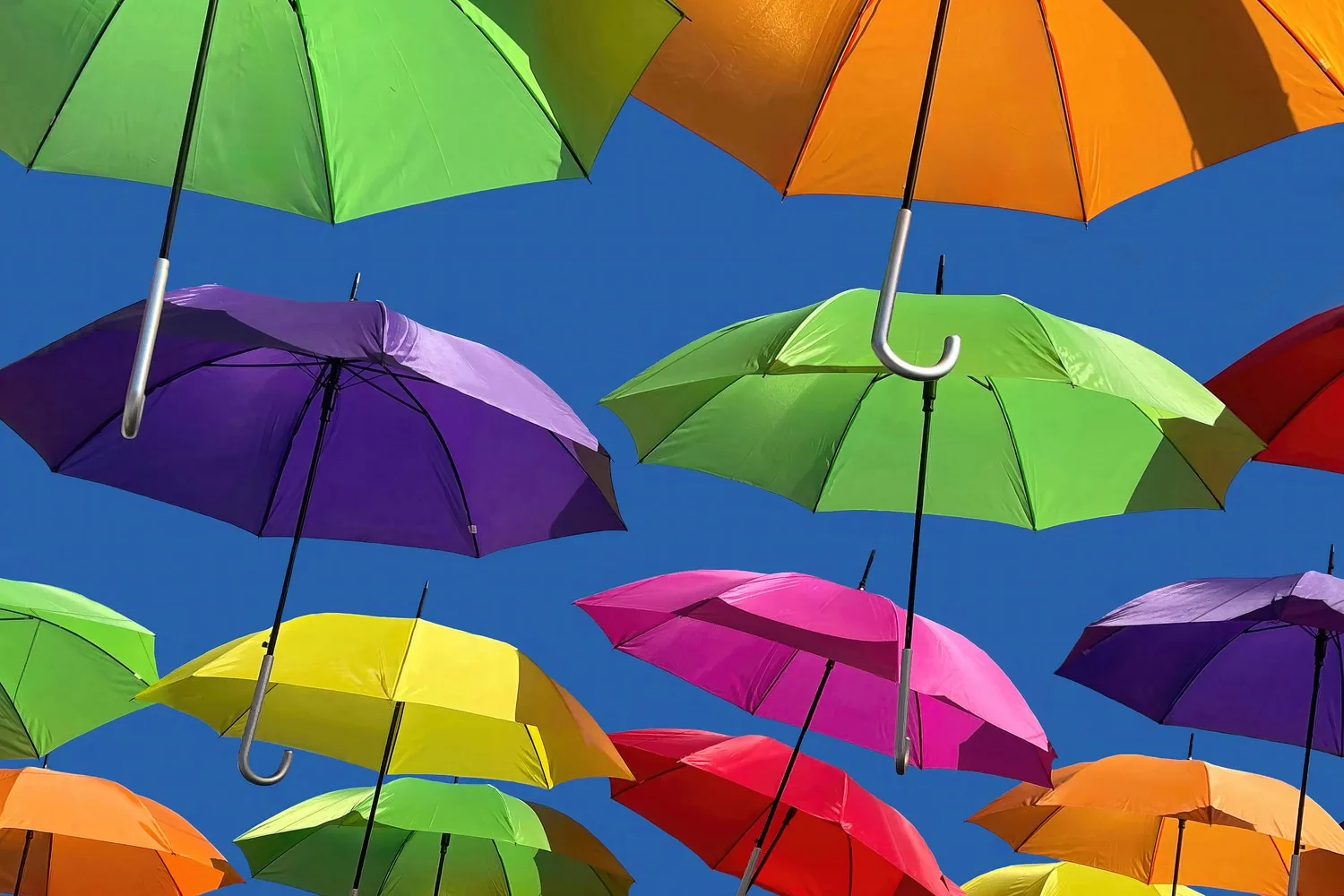 Floating Umbrellas Normal Heights – San Diego, California, 2020