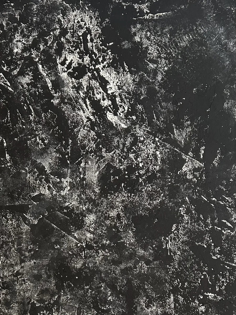 Nocturnal ~ The Dark Beautiful Universe, 2025