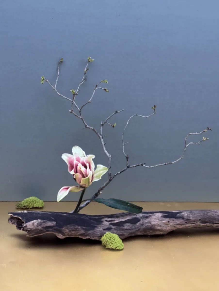 Emerging Stillness
