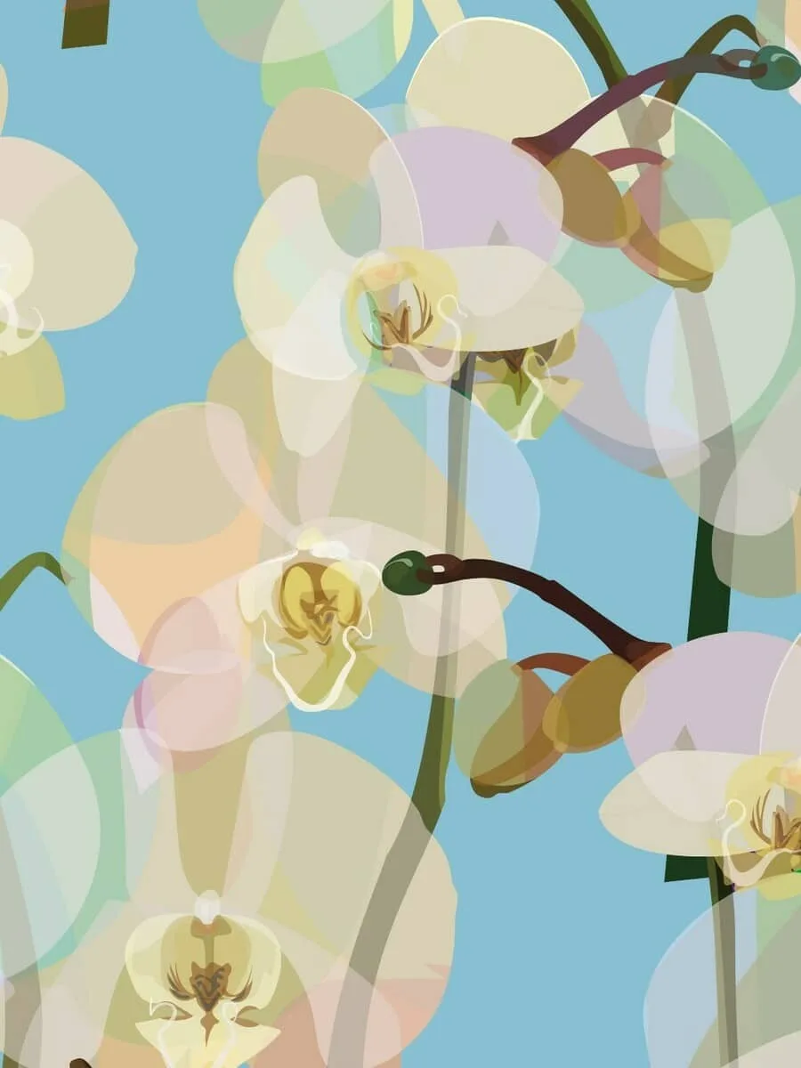 Soft Petals II