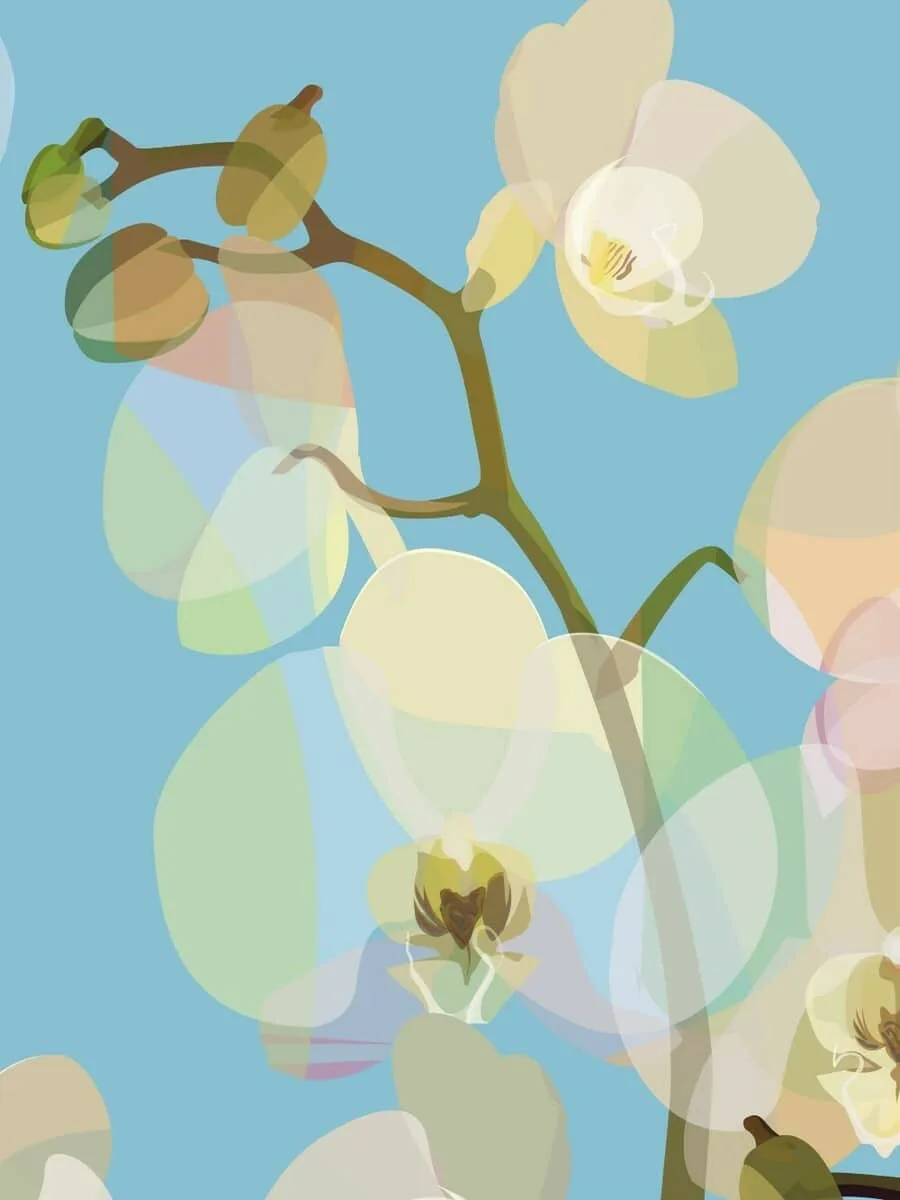 Soft Petals III
