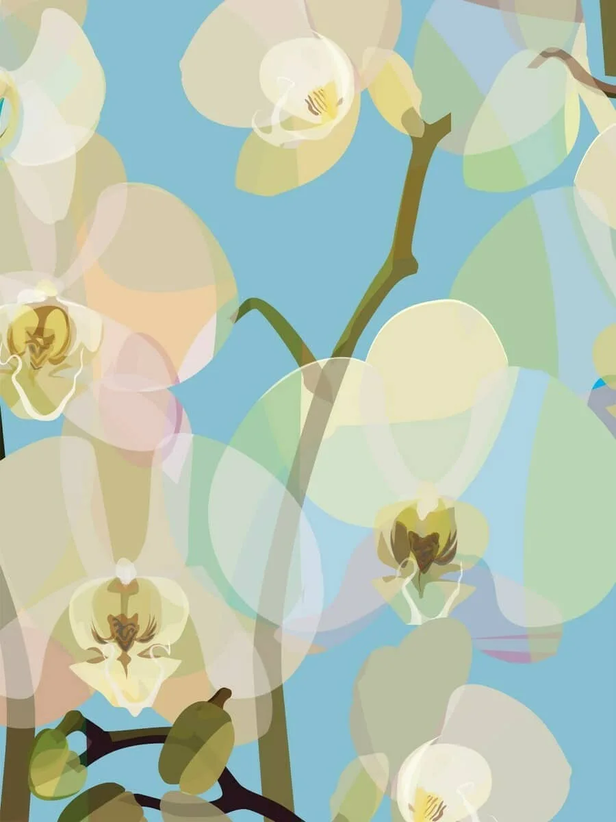 Soft Petals V