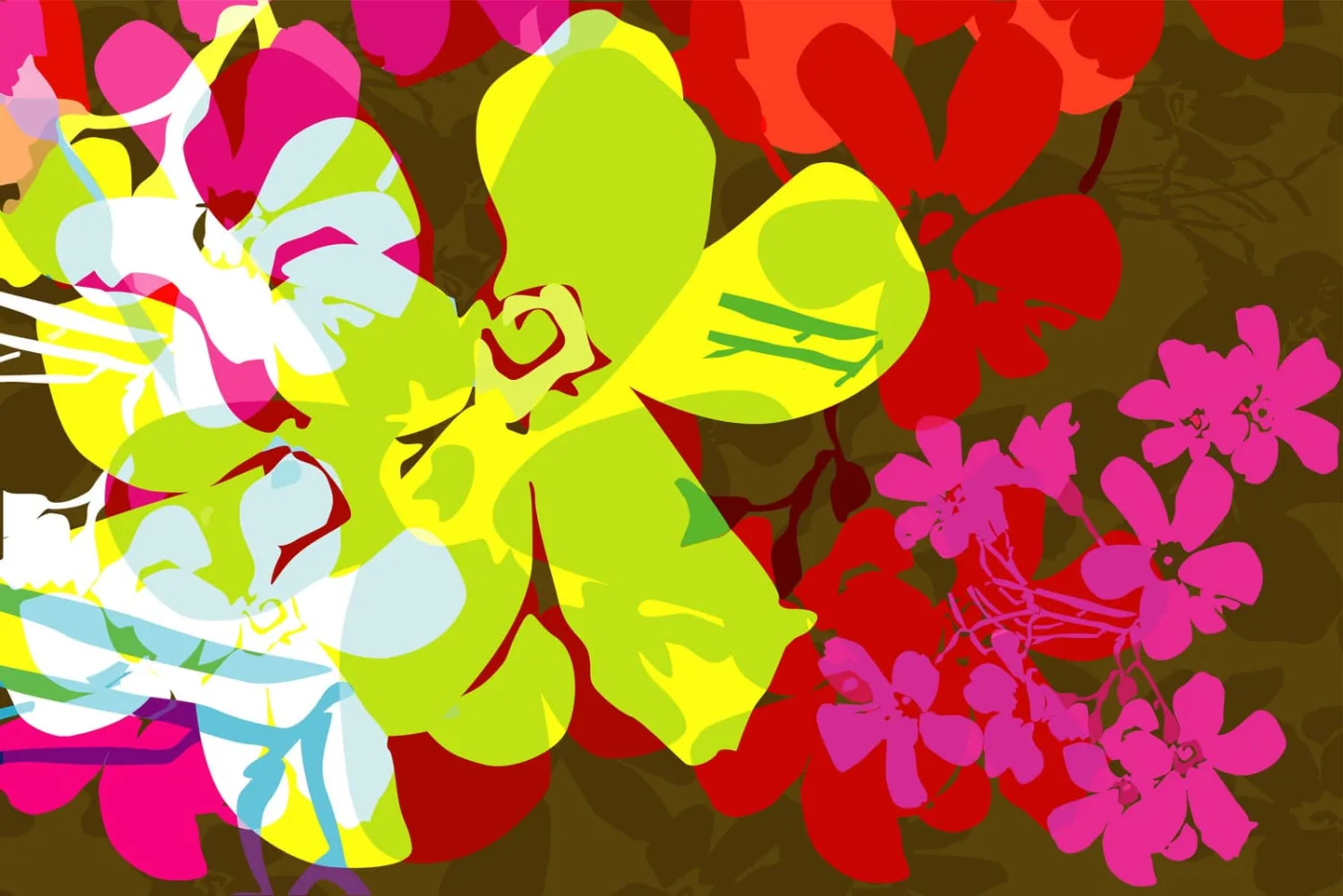 Texas Ivy 1, 2015