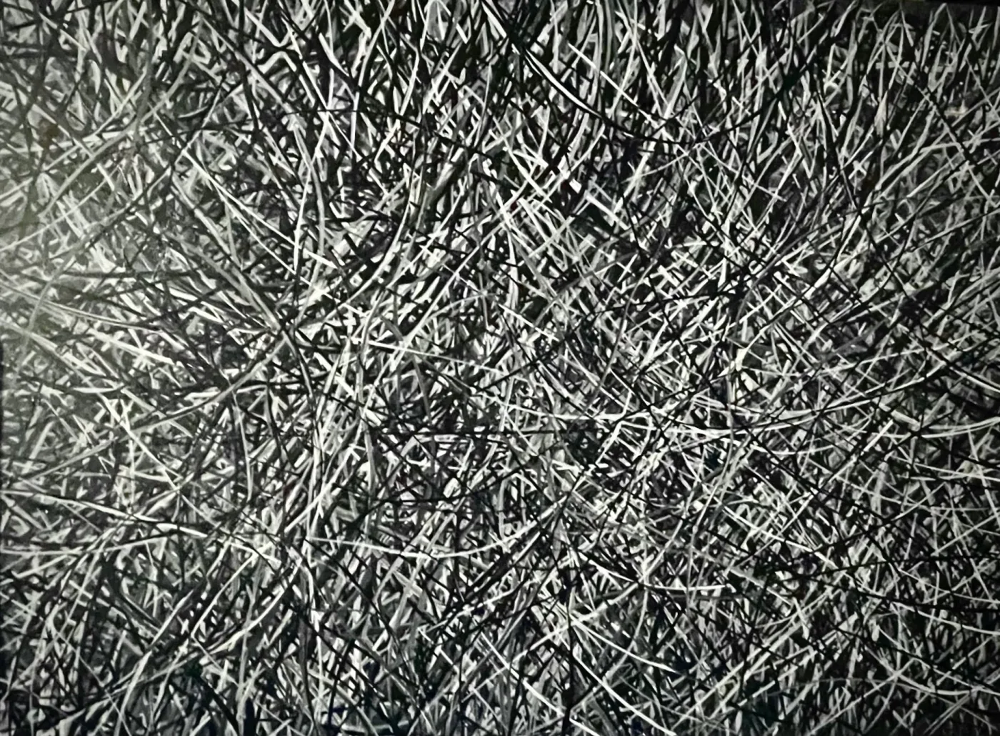 Entanglement, 2024