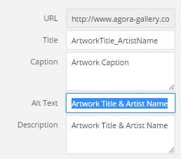 Always update your alt text after uploading an image to your website