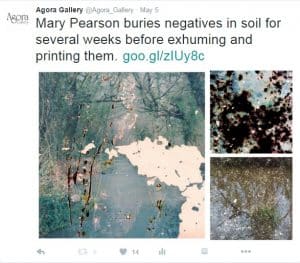 Mary Pearson_tweet image