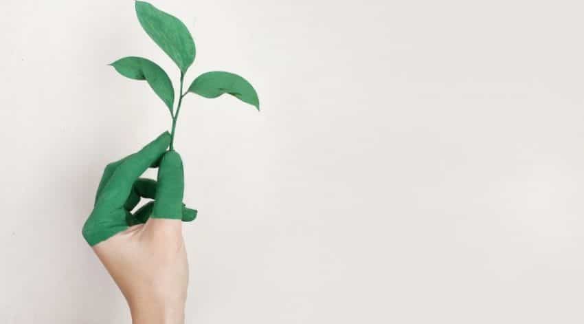 Going Green: Environmentally Friendly Practices for Artists