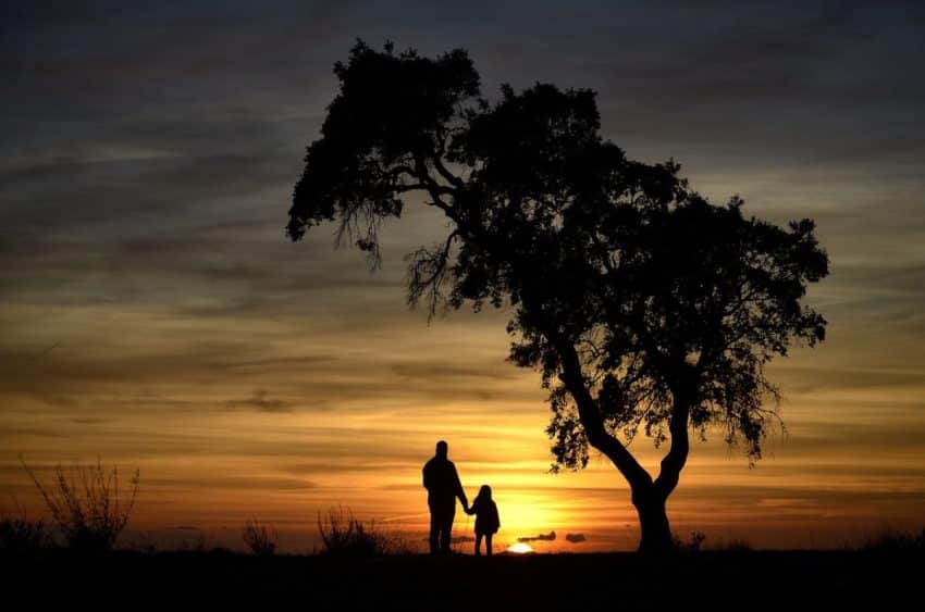 Backlighting technique in photography